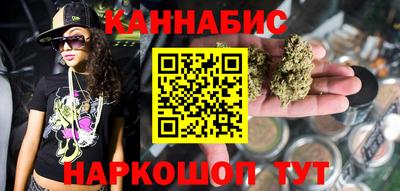 spice Гай