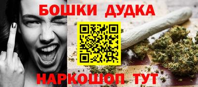 spice Гай