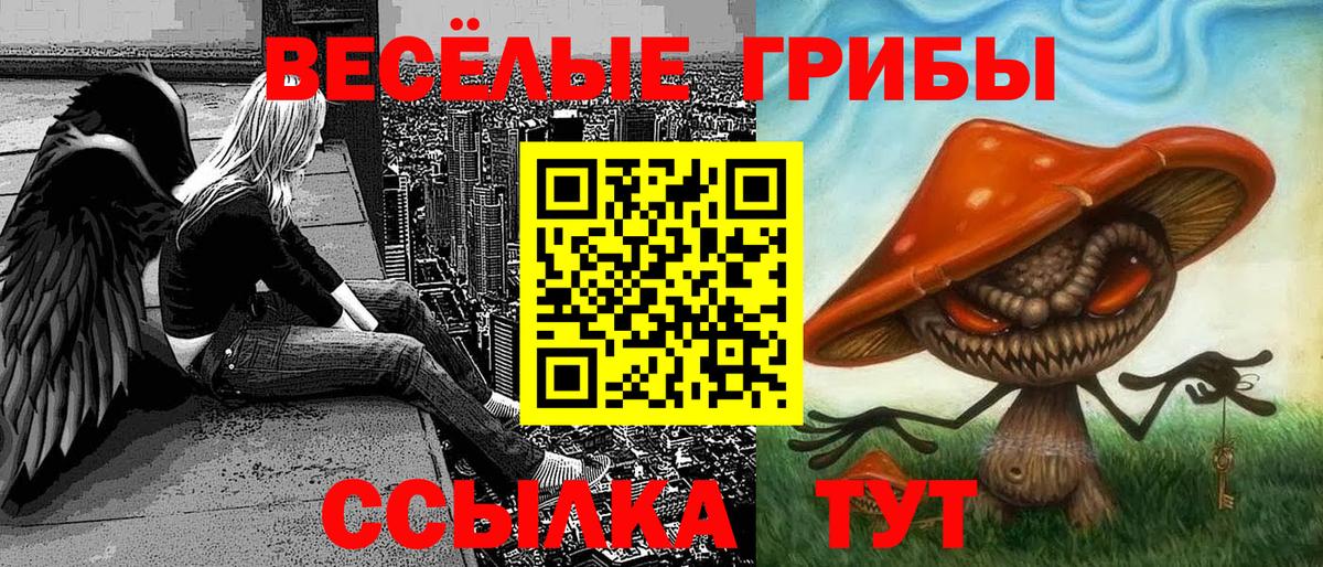 Псилоцибиновые грибы Psilocybe  Псилоцибиновые грибы Magic Shrooms  Вход с VPN  цена наркотик  Сочи 