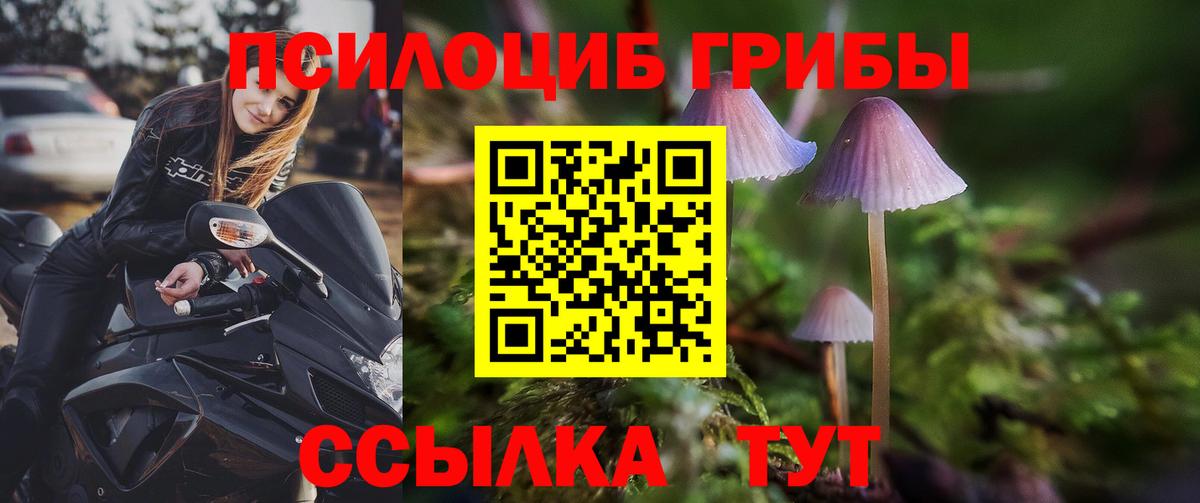 Галлюциногенные грибы MAGIC MUSHROOMS Сочи